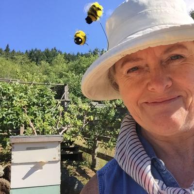 sueellenfast2@socialbc.ca