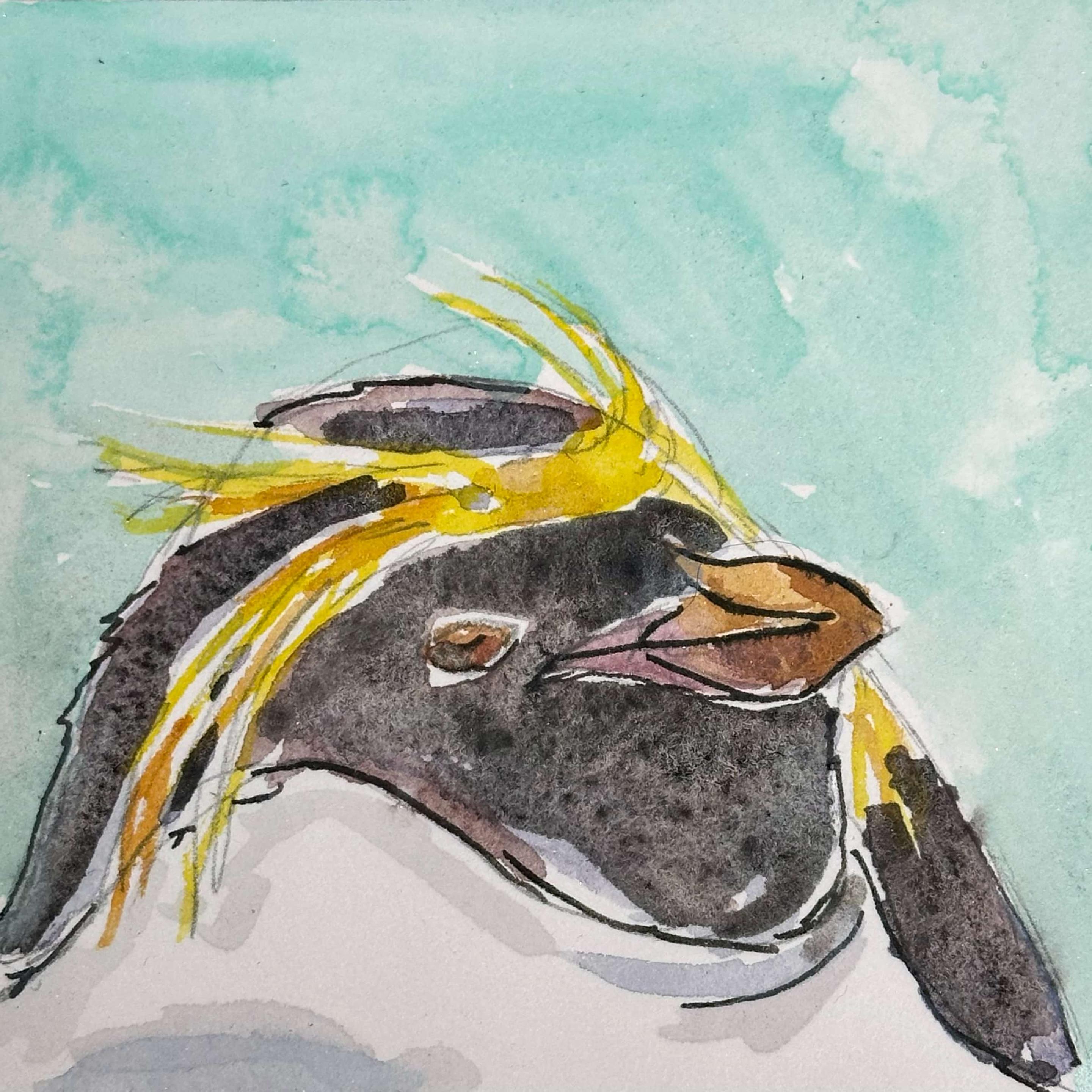 Tuffs of yellow feathers, windblown on his forehead. Black feathers on the face. White belly. Double chin. Orange beak.
