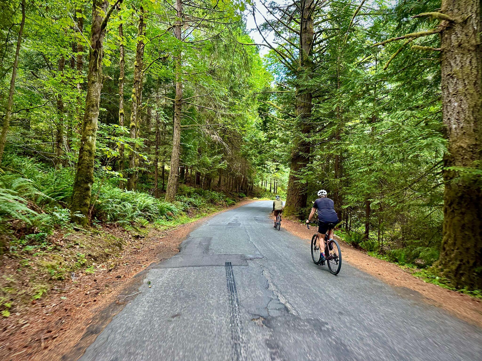 2 bike riders rolling along a narrow paved road under the forest canopy