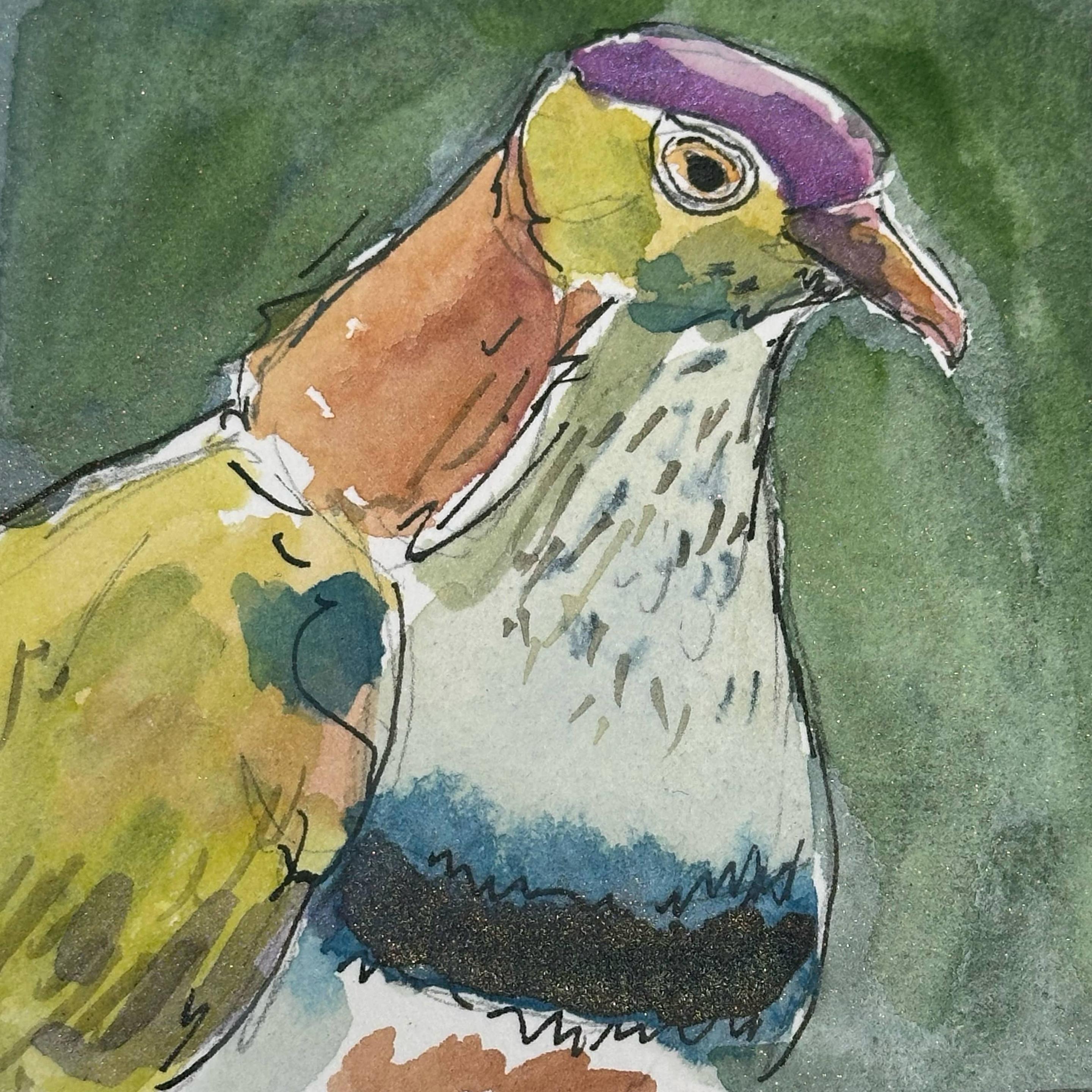 I swear this bird is wearing all the colours. Purple head. Lime green cheeks. Orange neck. Yellow wings. Blue band on its chest.